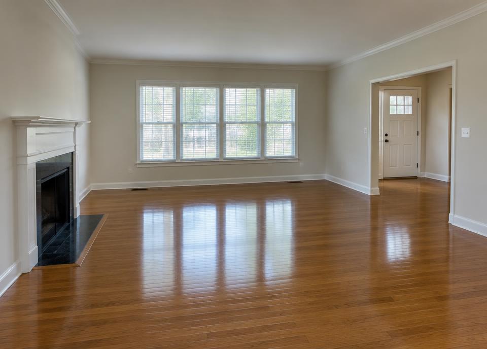 Cleanouts & Property Preparation